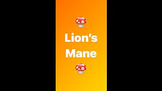 My “shroom” experience Lion’s Mane Benefits