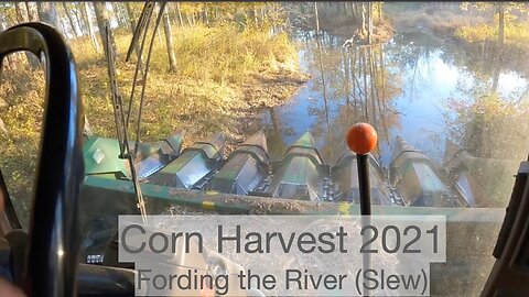 2021 corn harvest Fording the River (Slew)