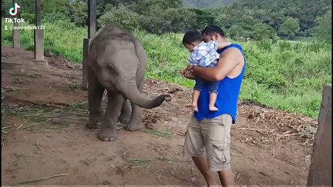 Baby Elephant almost smacks baby