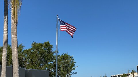 The American Flag