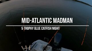 5 Trophy Blue Catfish Night