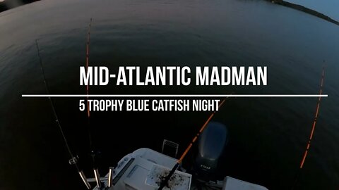 5 Trophy Blue Catfish Night