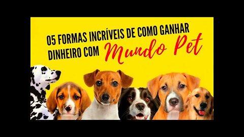 05 formas incríveis de como ganhar dinheiro com animais | DINHEIRO COM PET