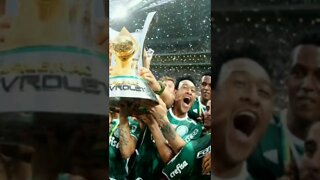 quem se lembra desses títulos..#palmeiras #palmeirasnoticias #verdão #palmeirashoje