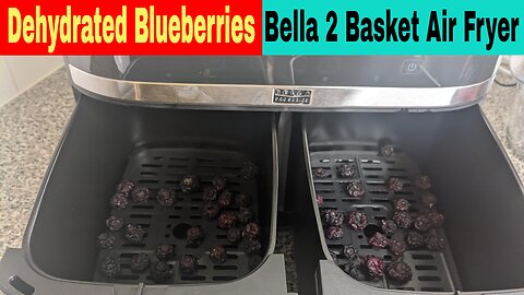 Dehydrated Blueberries, Bella Pro Series Dual 2 Basket Air Fryer