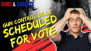 3 Gun Control Bills Scheduled For Votes!! How Close Are Dems To Beating The Filibuster?