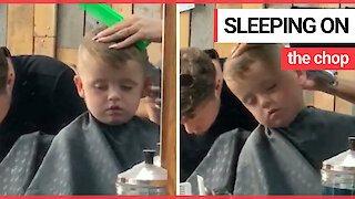 This is the funny moment a young boy nods off - as he's getting his hair cut