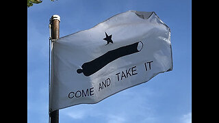Texas flies come and take it flag