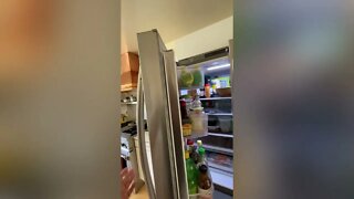 Fix right side french door of fridge opening by itself