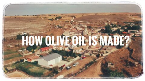🇪🇸 How extra virgin olive oil is made? Road trip to La Mancha, Spain #oliveoil