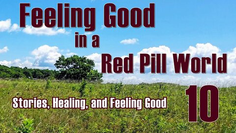 Feeling Good in a Red Pill World #10 Stories, Healing and Feeling Good