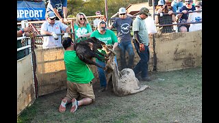 Couple spends their anniversary brutalizing pigs