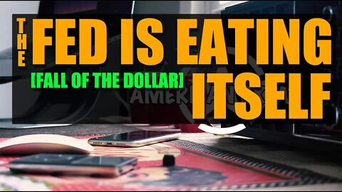 The Fed is Eating Itself [the end of the dollar]