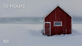 Winter Ocean Sounds on Snowy Beach: Gentle Waves & Cold Wind Sounds for Sleeping FAST: White Noise