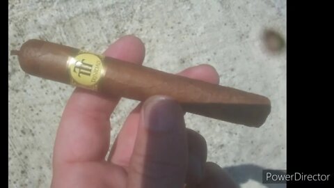 Trinidad Reyes Petit Corona Cuban Cigar