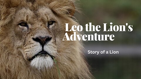 Leo the Lion's Adventure