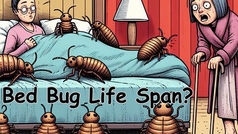 How Long Do Bed Bugs Live?