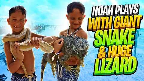 Noah plays with GIANT Snake & Huge Lizard, crazy beach adventures on a beach vacation! Dare Accepted