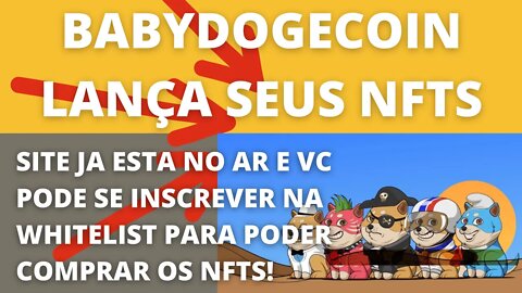 #Babydogecoin lança o seu Site de #NFTs - 178