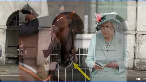 Queen's Guard Horse Goes Crazy - Maybe Just More Poor Horsemanship