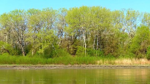 RUSSIA CHECHNYA Forest - Soothing Sounds Of The River - Relaxing Video Spring Nature