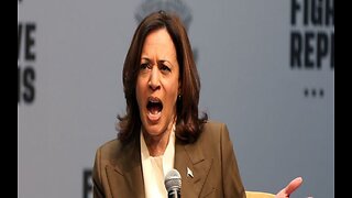 Report Aides Reveal Which Fox News Show Kamala Harris Hate-Watches