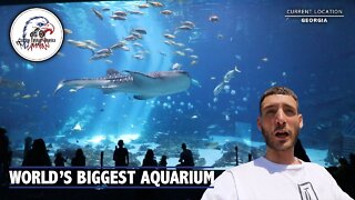 World's Biggest Aquarium