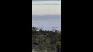 Sea of Fog to Sierra Nevada