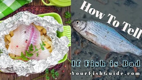 How To Tell If Fish is Bad ~ Educational | Tips and Techniques ~ Help Determine If A Fish Is Rotten