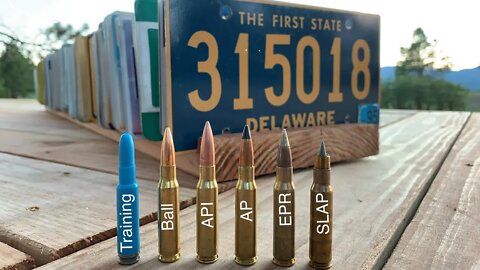 308 Rounds vs 50 License Plates All 50 States
