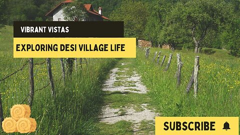 Vibrant Vistas: Discovering Desi Village Life | Village Vibes