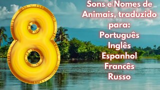 8 Sons e Nomes de Animais da Fazenda