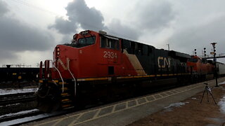 CN 2934 & BNSF 8160 Locomotives Manifest Train East In Ontario