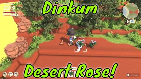 Dinkum How to Get Desert Rose