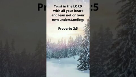 TRUST GOD FOR YOUR UNDERSTANDING! | MEMORIZE HIS VERSES TODAY | Proverbs 3:5