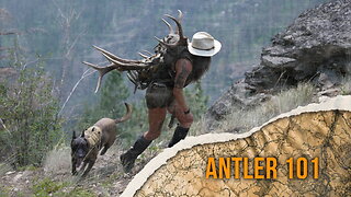 DECIVILIZED - ANTLER 101