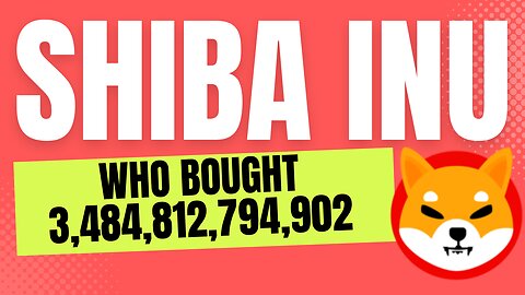 Who Bought 3 4 Trillion SHIBA INU COIN?