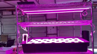 New Home Scale Indoor Vertical Hydroponics Farm - Part Three