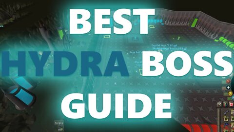 Osrs Hydra Boss Guide (Easiest And Fastest Kills) Money Making Guide osrs