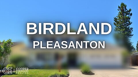 The BIRDLAND neighborhood - Pleasanton CA tours