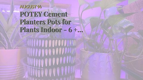POTEY Cement Planters Pots for Plants Indoor - 6 + 4.5 Inch Indoor Concrete Vintage Style Dot P...