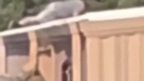 Insane New Video Shows Trump Shooter Moving On Roof, People Pointing Him Out Before Shooting