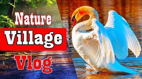 Most Beautiful Village Bangladesh | Beautiful Nature Vlog by Notun Luxury