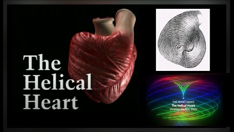 The Helical Heart ~ The 💗💓 Is NOT WHAT WE WERE TAUGHT!