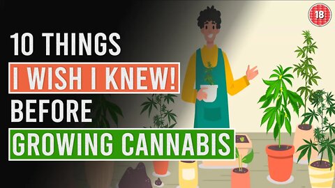 10 things I Wish I'd known before Growing Cannabis!