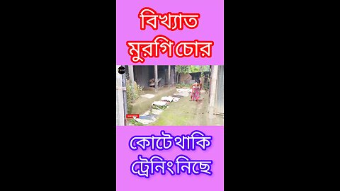 মুরগি চোর