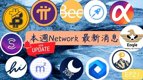 本週Network最新消息第21集😀五分鐘掌握幣圈消息 | Bee Network最新更新活動，趕快來看看😂