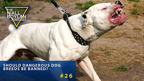 #26 Should Dangerous Dog Breeds Be Banned?