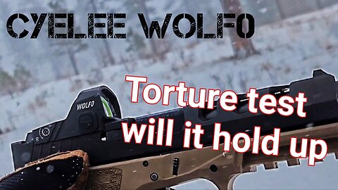 Torture testing the Cyelee Wolf0