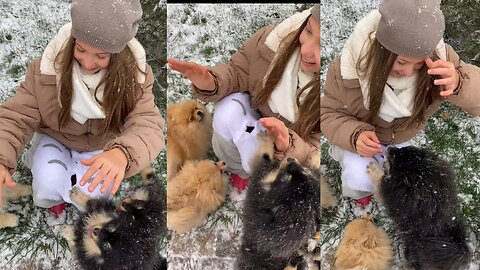 This charming video of puppies frolicking with a girl in the snow is incredibly sweet